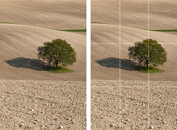 Guide to the Rule of Thirds - Step 4
