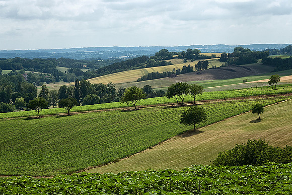 Looking south - Bourg-des-Maisons