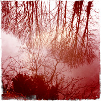 Byron's Pool, River Cam II -  Grantchester, Cambridge
