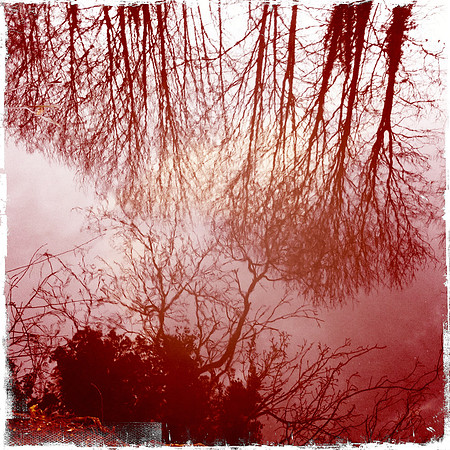 Byron's Pool, River Cam II -  Grantchester, Cambridge