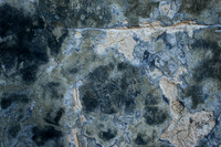 Textured Wall - La Rochebeaucourt