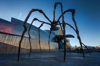 The Spider - Bilbao