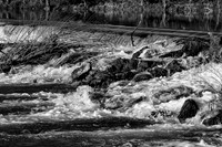 Charente River II - Sireuil