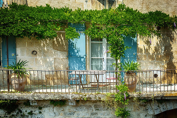 Vine- St Jean de Cole
