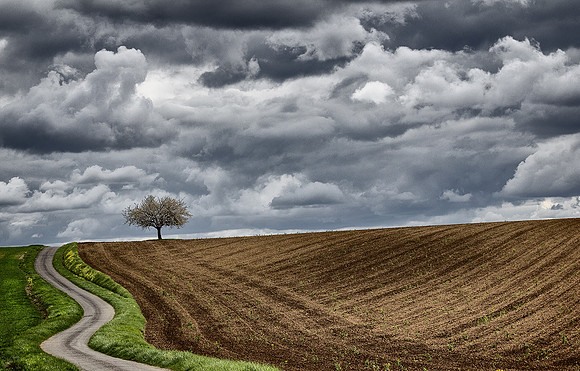 © Gill Stafford