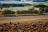 Nut Grove - Montignac