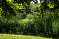 Public Park - Vieux Mareuil