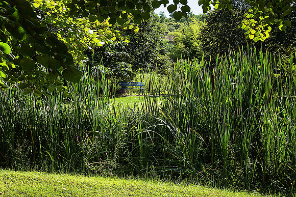 Public Park - Vieux Mareuil