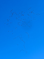 Cranes over the Studio 3 - Villebois-Lavalette