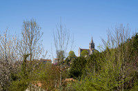 L1001835