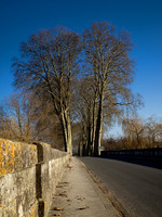 Tree-lined Road - Aubeterre