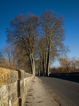 Tree-lined Road - Aubeterre