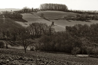 Farm Fields I  - Nanteuil