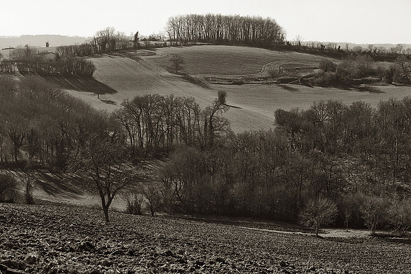 Farm Fields I  - Nanteuil