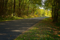 Autumn Road - Ronsenac