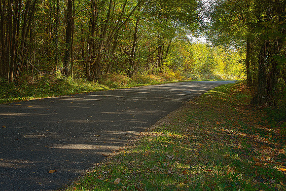 Autumn Road - Ronsenac