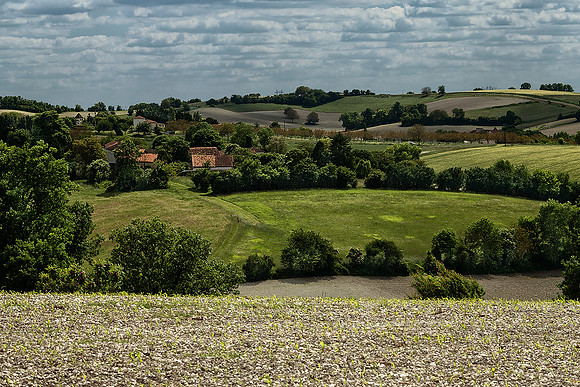 Countryside IV - Vendoire