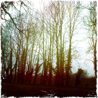 Byron's Pool, River Cam VI -  Grantchester, Cambridge
