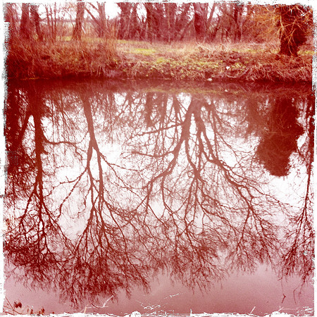 Byron's Pool, River Cam I -  Grantchester, Cambridge
