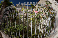 Fence & Garden - Aubeterre