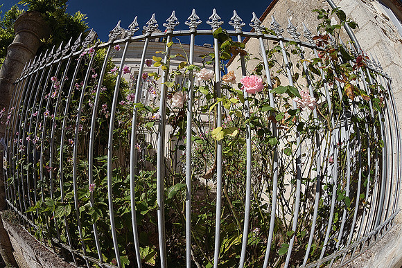Fence & Garden - Aubeterre