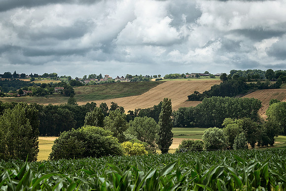 Towards Lusignac - Bertric-Burée