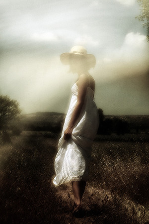 Toujours Provence - 3