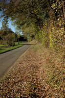 Autumnal Road - Villbois-Lavalette