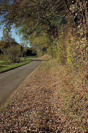Autumnal Road - Villbois-Lavalette
