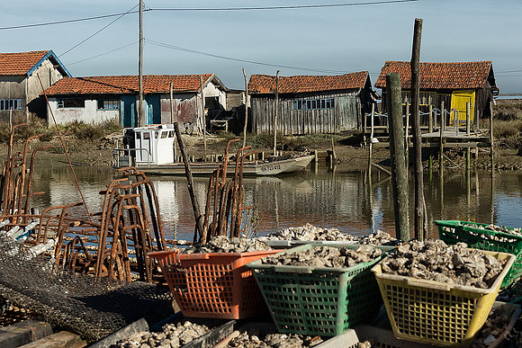 Oyster Huts II - La Tremblade