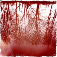 Byron's Pool, River Cam III -  Grantchester, Cambridge
