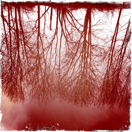 Byron's Pool, River Cam III -  Grantchester, Cambridge