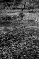 Stream - Gurat