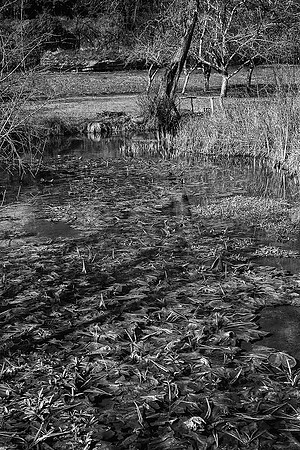 Stream - Gurat