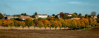 Lollipop Trees - Villebois-Lavalette