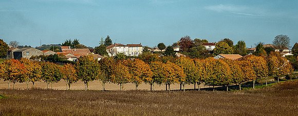 Lollipop Trees - Villebois-Lavalette