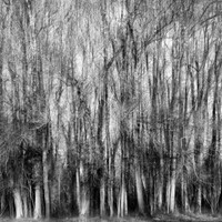 2019 01 27 - Nanteuil