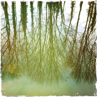 Byron's Pool, River Cam V -  Grantchester, Cambridge